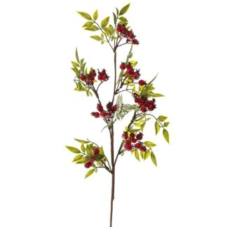 ΚΛΑΔΙ ΜΕ ΚΟΚΚΙΝΑ ΠΑΓΩΜΕΝΑ ΡΟΔΙΑ 65ΕΚ